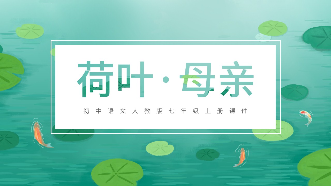 ppt模板-初中语文人教版七年级上册《荷叶母亲》教育教学课件