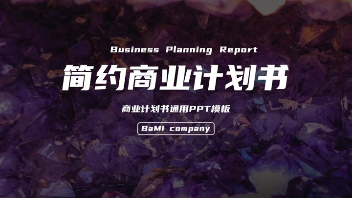 ppt模板-简约炫紫商业计划书通用模板